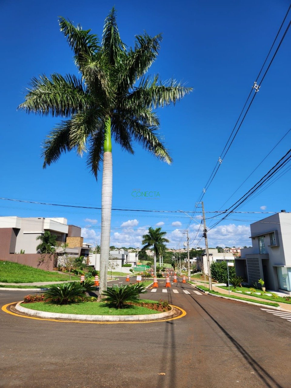 Imagem da propriedade 6583 24